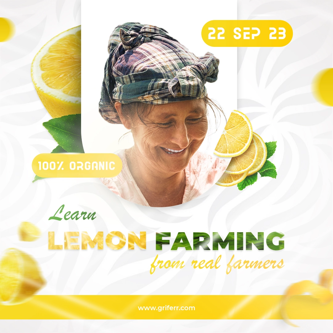 Vibrant lemon-themed post design with refreshing and citrusy aesthetics.